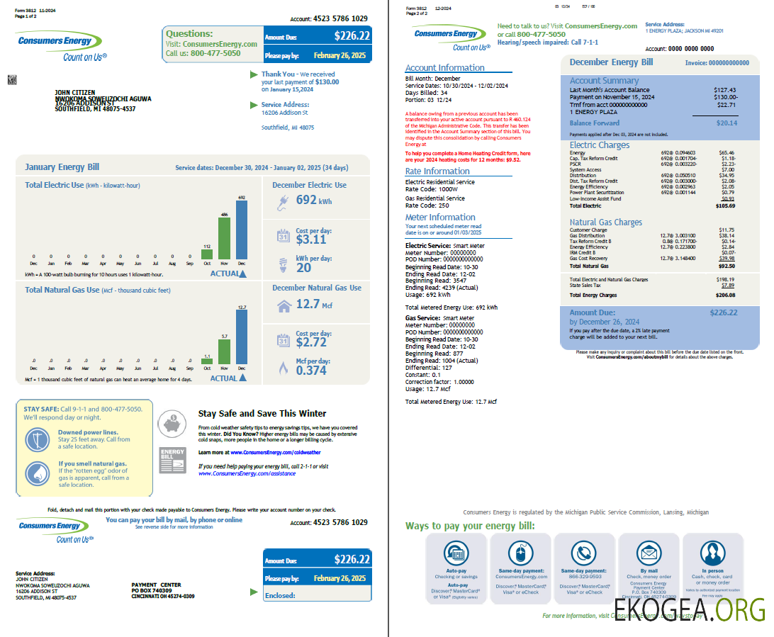Usa Consumers energy utility bill template in word and pdf formats, 2 pages template